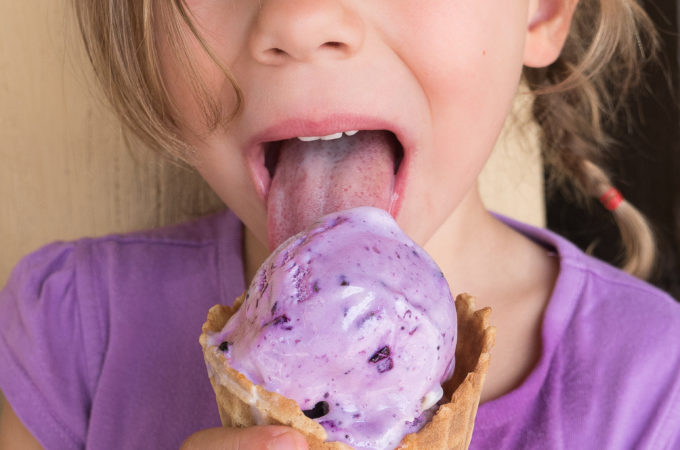 Yellowstone National Park, huckleberry ice cream, montana food, camping, kampground of america